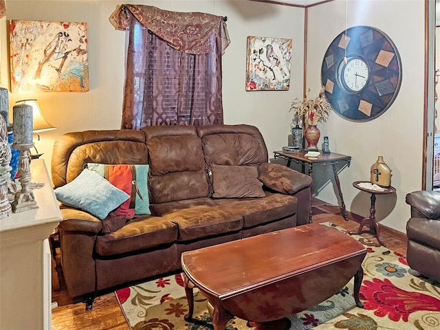 living room with wood-type flooring