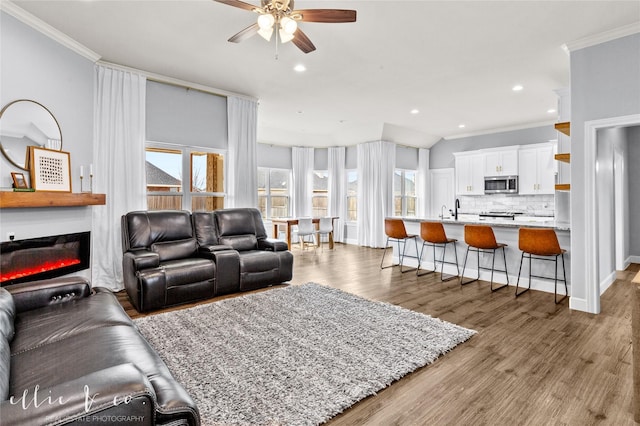 living room featuring ceiling fan, sink, a large fireplace, wood-type flooring, and ornamental molding