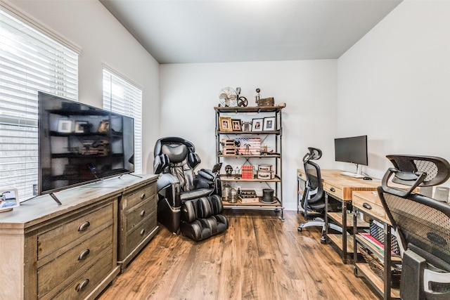 office area featuring wood-type flooring