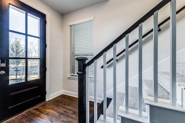 foyer entrance featuring dark hardwood / wood-style floors