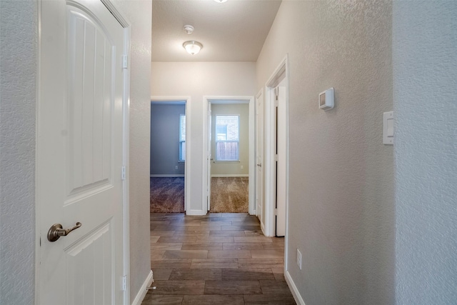 hallway featuring dark wood-type flooring