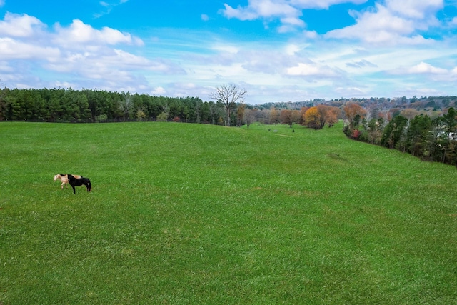 view of yard with a rural view