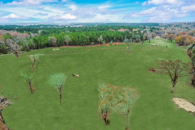 10794 County Road 334, Tyler, TX 75708 - bird's eye view