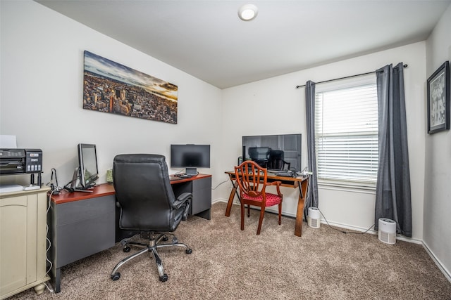 office with carpet flooring