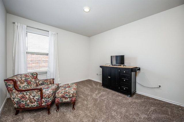 living area featuring carpet flooring