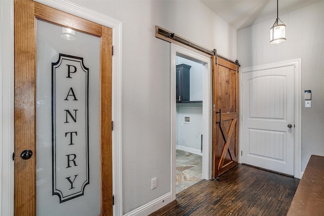 foyer with a barn door and dark hardwood / wood-style floors