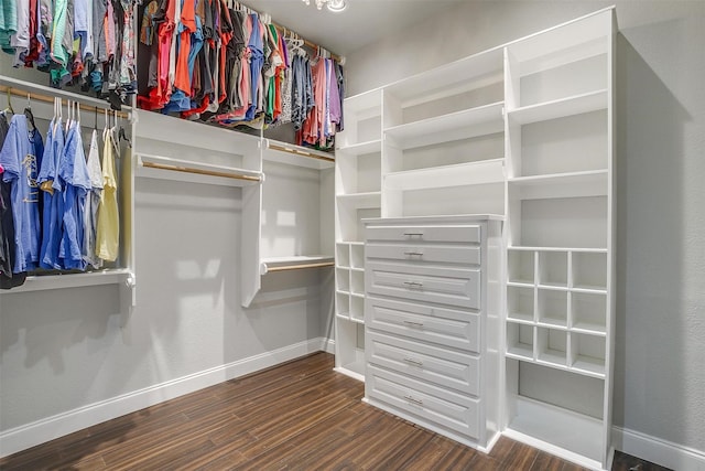 walk in closet featuring dark hardwood / wood-style flooring