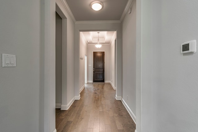 hallway with ornamental molding, a tray ceiling, and hardwood / wood-style floors