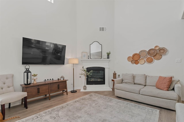 living room with hardwood / wood-style flooring