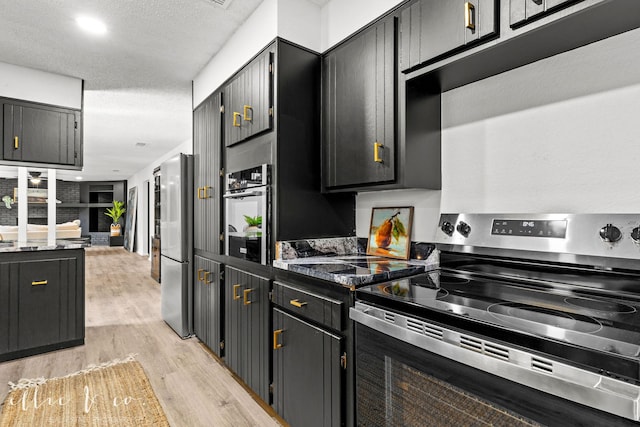 kitchen with light wood-type flooring, a textured ceiling, and appliances with stainless steel finishes