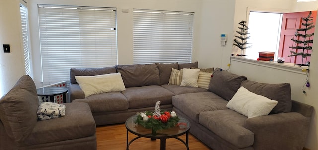 living room featuring light hardwood / wood-style flooring