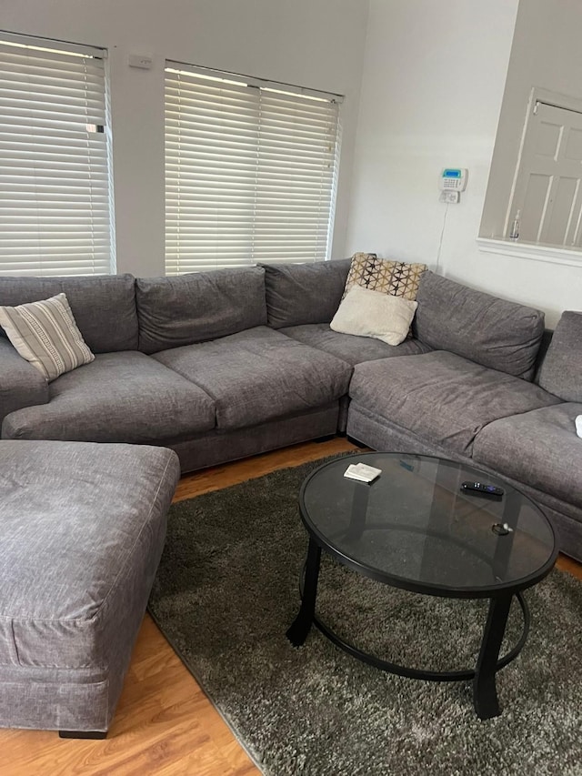 living room featuring wood-type flooring