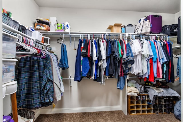 spacious closet featuring carpet floors