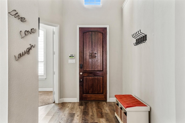 entrance foyer featuring dark hardwood / wood-style floors