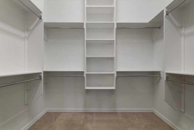 walk in closet featuring carpet flooring