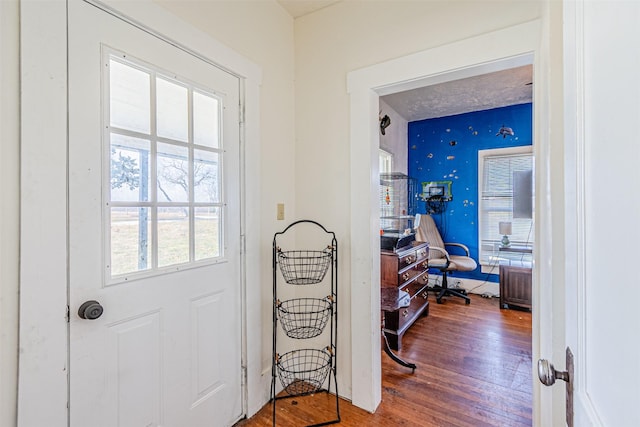 entryway with wood-type flooring