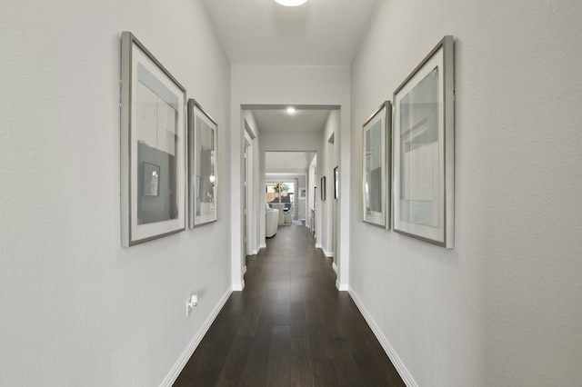 hall featuring dark wood-type flooring