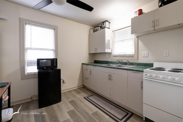 kitchen with white range oven, a wealth of natural light, sink, and light wood-type flooring