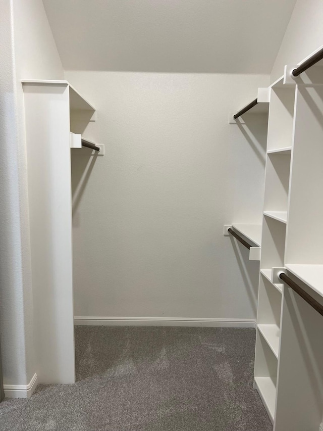 spacious closet featuring dark colored carpet