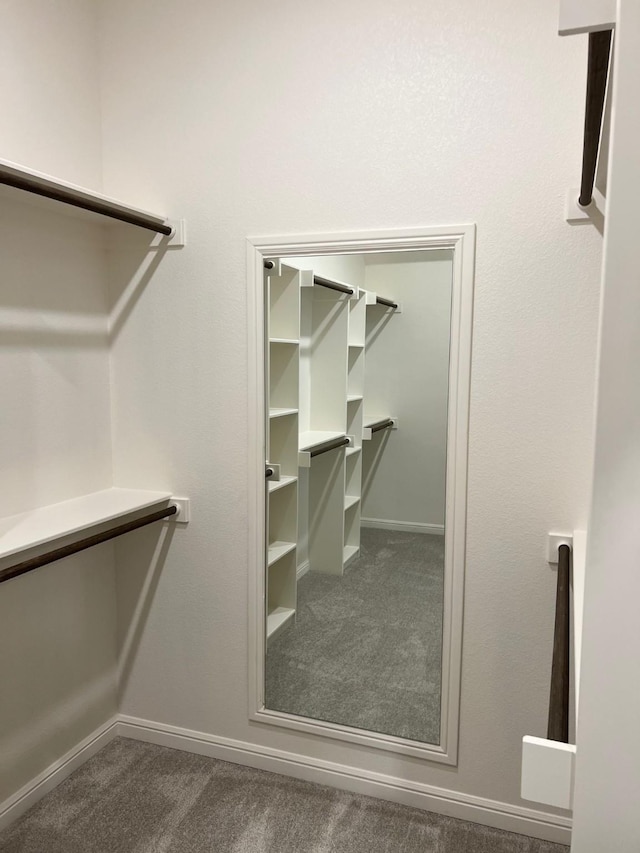 spacious closet featuring carpet