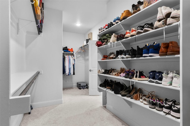 spacious closet with light carpet