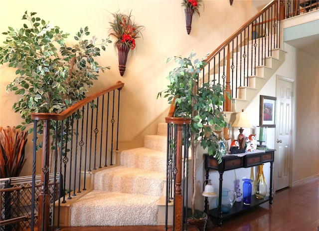 stairway with wood-type flooring