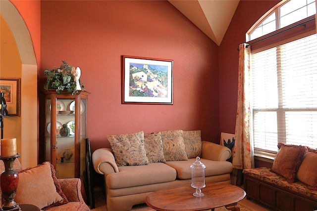 living room featuring lofted ceiling and a wealth of natural light