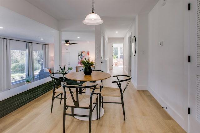 dining area with ceiling fan, light hardwood / wood-style floors, and a healthy amount of sunlight