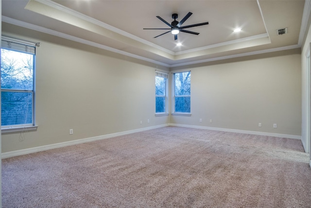 spare room with a raised ceiling, ceiling fan, and crown molding