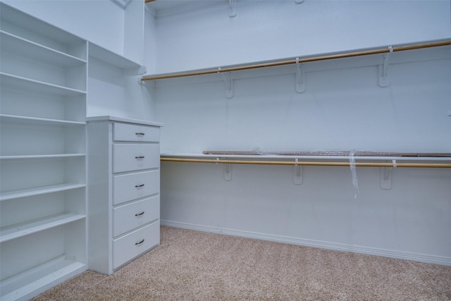 spacious closet with light carpet