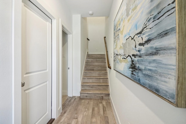 staircase featuring hardwood / wood-style floors