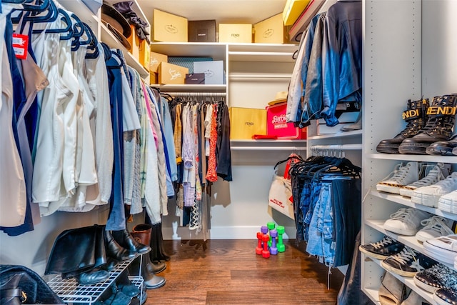 view of spacious closet