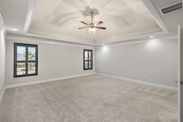 spare room featuring a wealth of natural light, crown molding, and a raised ceiling