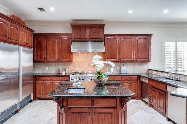 kitchen with crown molding, stainless steel appliances, sink, and exhaust hood