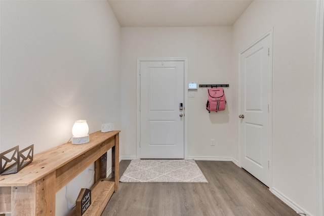 entryway with hardwood / wood-style flooring