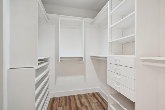 spacious closet with hardwood / wood-style floors