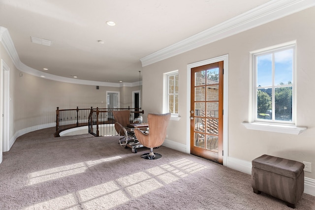 interior space featuring carpet flooring and crown molding