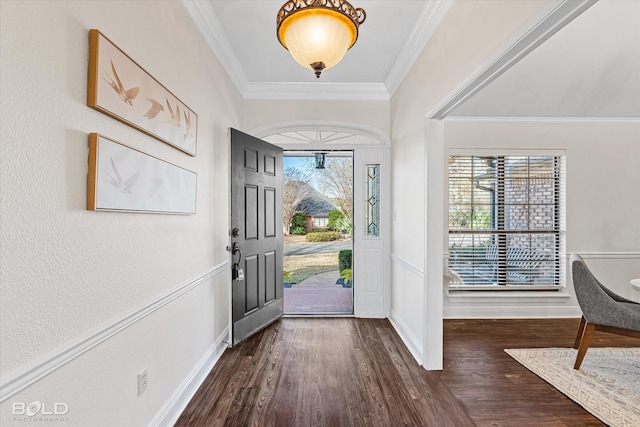 entrance foyer with crown molding, dark hardwood / wood-style floors, and a wealth of natural light