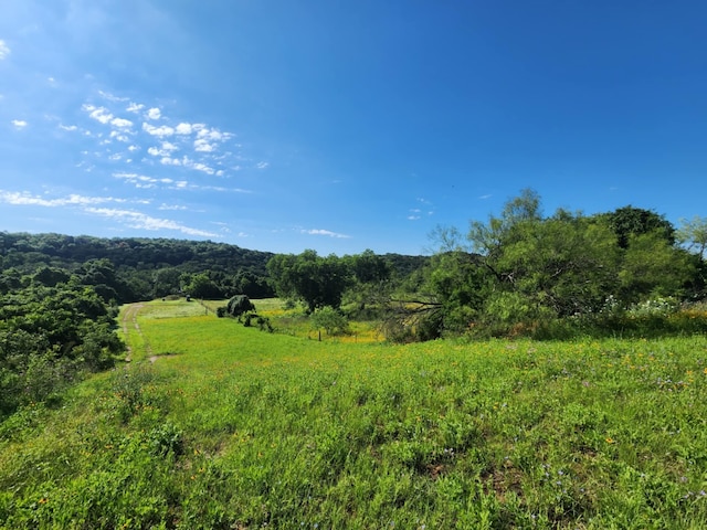 view of landscape featuring a rural view