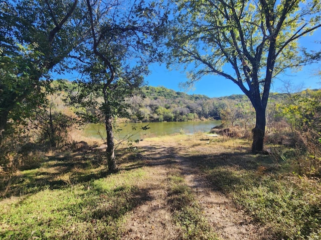 view of local wilderness featuring a water view