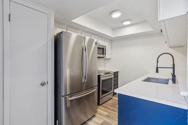 kitchen with sink, decorative backsplash, a tray ceiling, white cabinetry, and stainless steel appliances