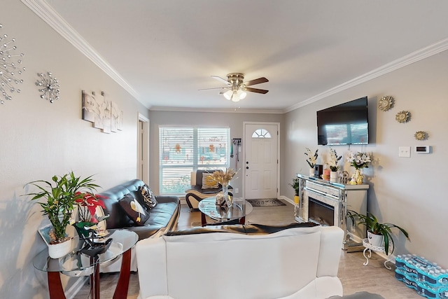 living room featuring ceiling fan and ornamental molding