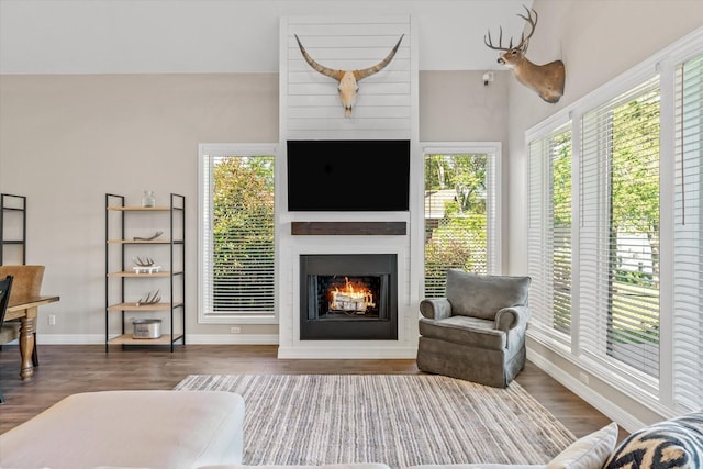 living room with a large fireplace and hardwood / wood-style floors