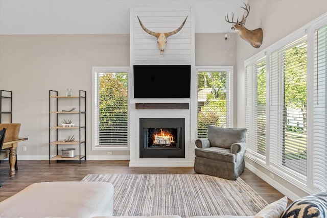 interior space featuring baseboards, a large fireplace, and wood finished floors