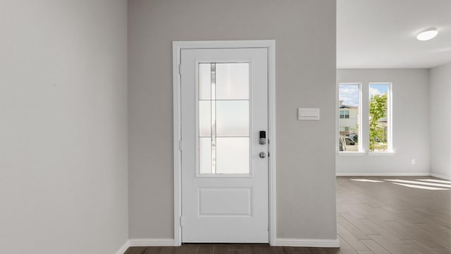 foyer with dark wood-type flooring