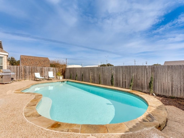 view of swimming pool with grilling area