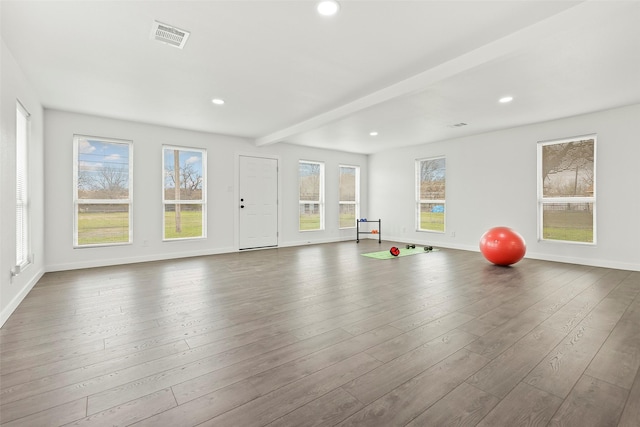 workout area featuring wood-type flooring