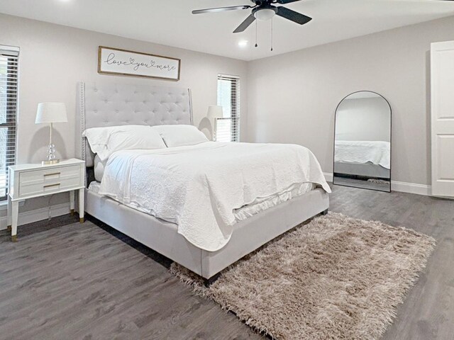 bathroom featuring wood-type flooring, vanity, and ceiling fan