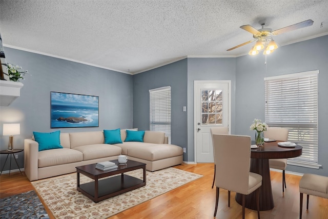 living room with a textured ceiling, ceiling fan, light hardwood / wood-style floors, and crown molding