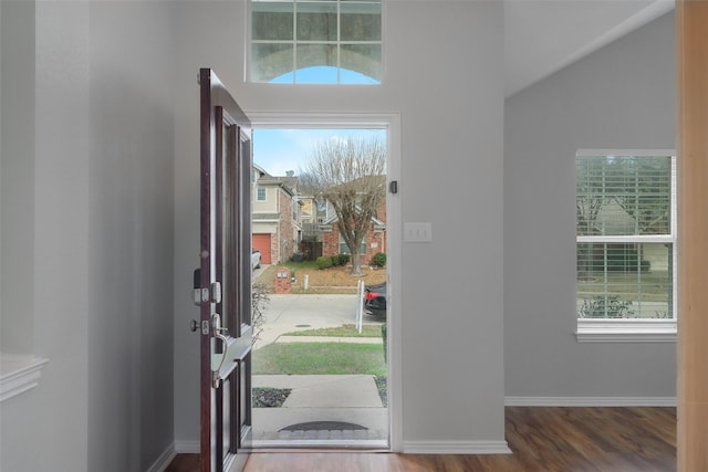 foyer featuring hardwood / wood-style flooring and a healthy amount of sunlight